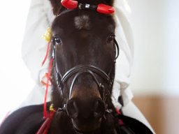 IMG-9914-041-redigeret
